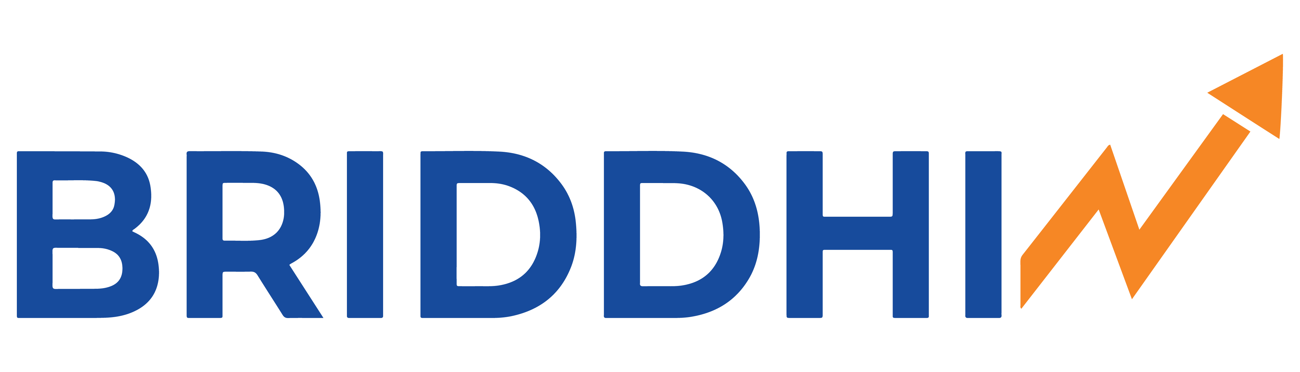 Briddhi Logo-01